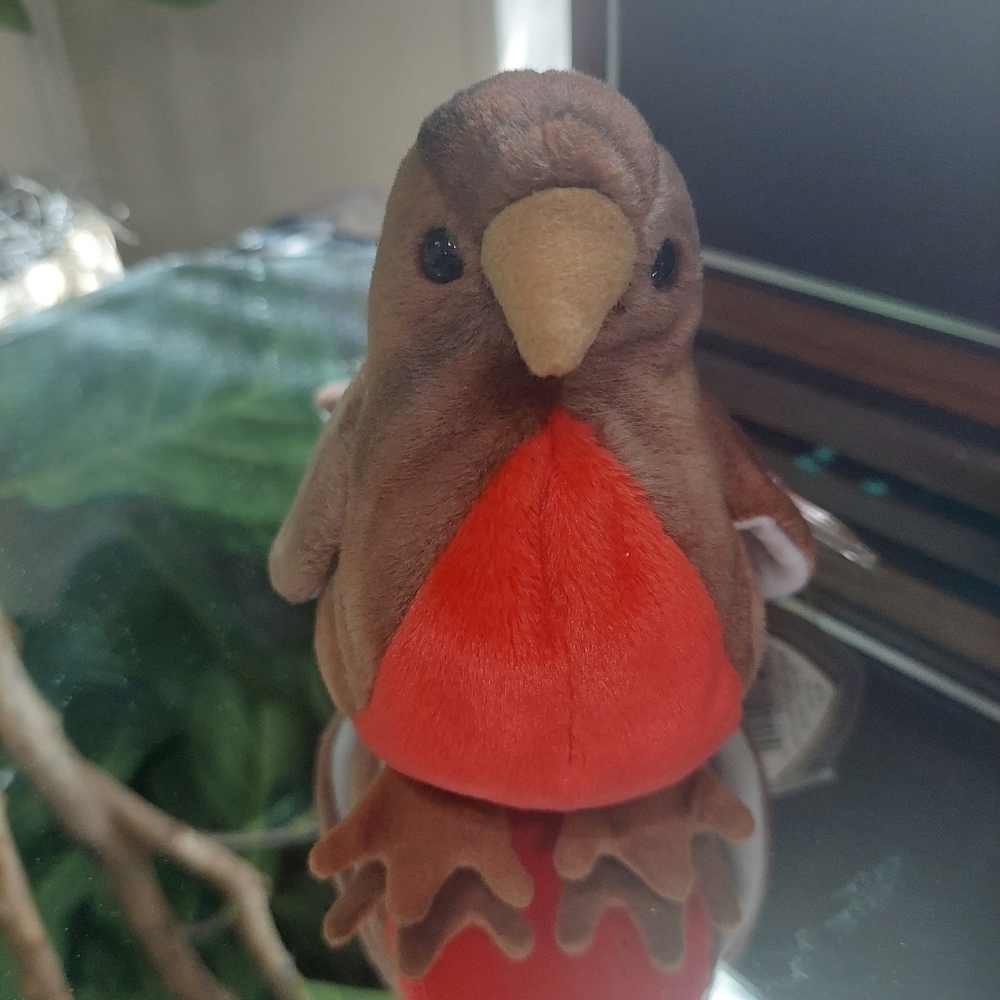 RARE Early the Robin TY Beanie Baby - Collectors find- 1997 - Picture 3 of 11